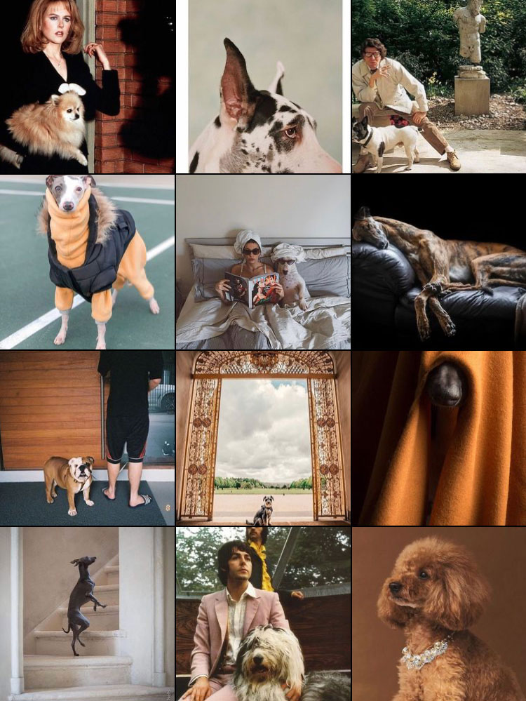 Dogue Magazine Instagram Feed 4